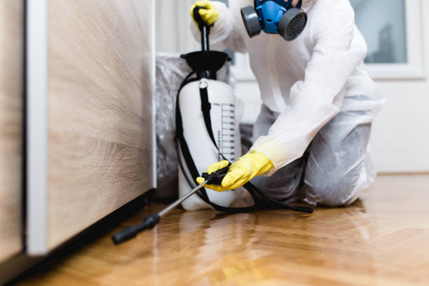 Best Flea Control Services  in Trinidad, CO