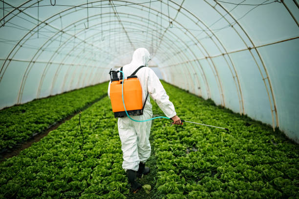 Best Pest Inspection Near Me  in Trinidad, CO