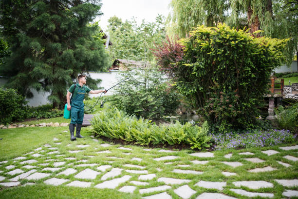 Best Local Pest Control Services  in Trinidad, CO