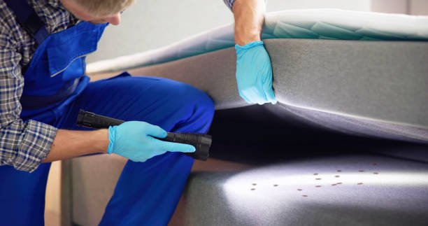 Best Pest Control Near Me in Trinidad, CO