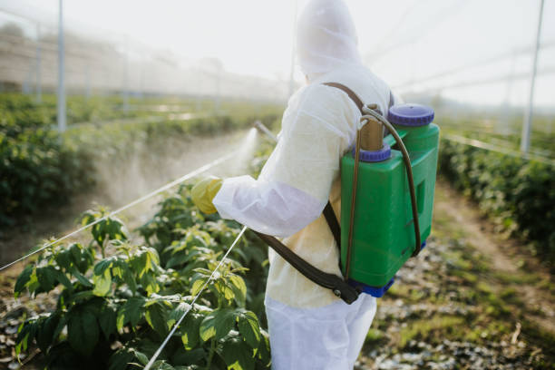 Best Pest Control Near Me  in Trinidad, CO